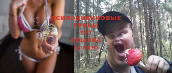 mix Богородск